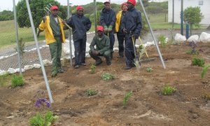 Green Futures Contributes to the Gansbaai Sports Centre
